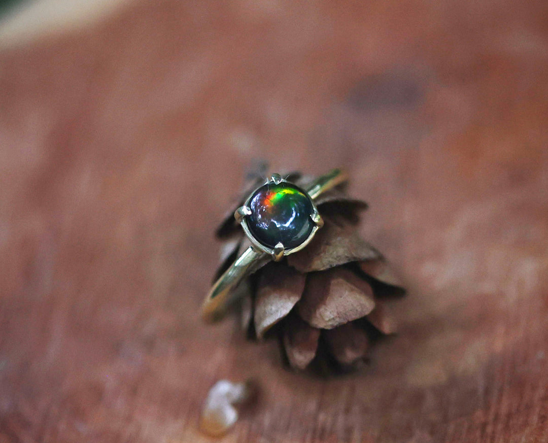 18k Gold Ammonite Ring